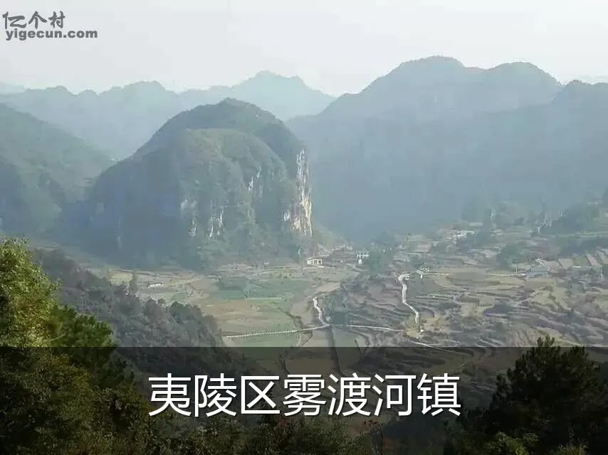 夷陵区雾渡河镇