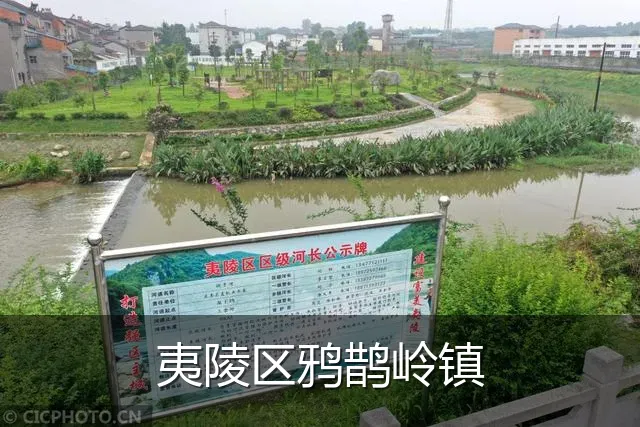 夷陵区鸦鹊岭镇