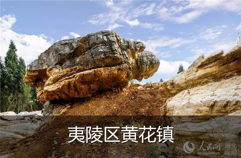 夷陵区黄花镇
