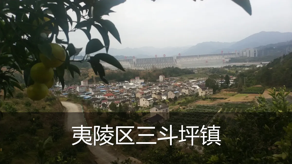 夷陵区三斗坪镇
